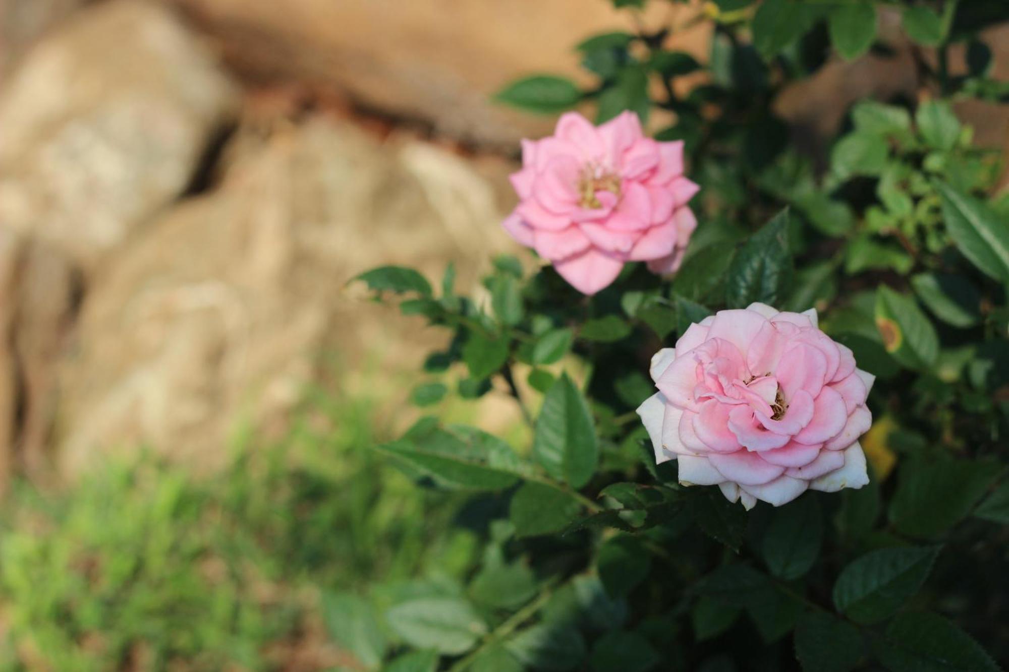 Ecolux Boutique Hotel Komatipoort Dış mekan fotoğraf